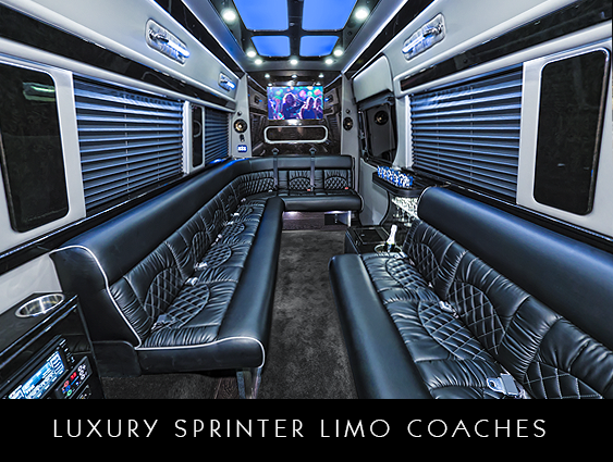 Tampa Sprinter Limo Party Bus Service