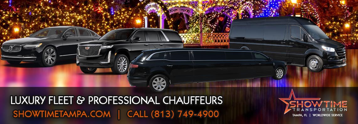 Hillsborough Christmas Light Limo Tours, Hillsborough County Holiday Light Tours, Hillsborough Holiday Tranportation Limo Services