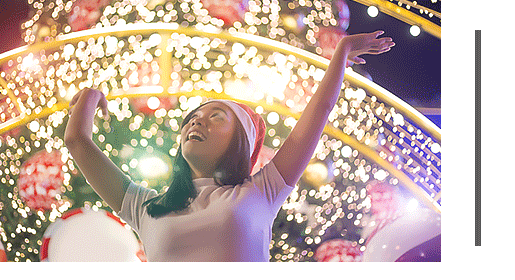 Hillsborough Holiday Light Tours, Christmas Limo Tours