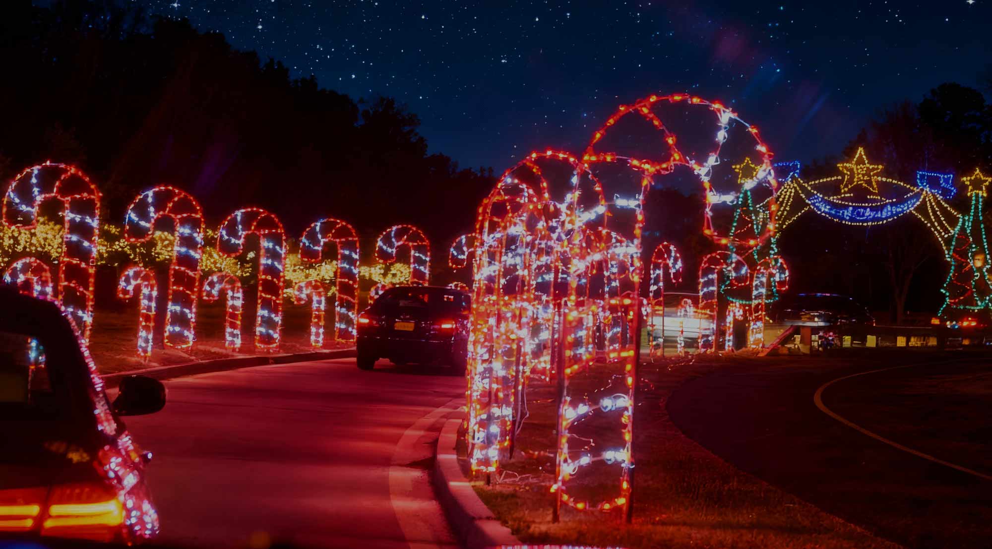 Tampa Bay Holiday Party Transportation Shuttle Bus Rentals