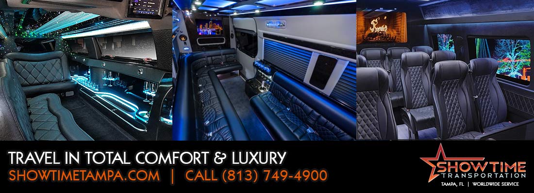 Hillsborough Christmas Limo Service Rentals, Holiday Light Tours