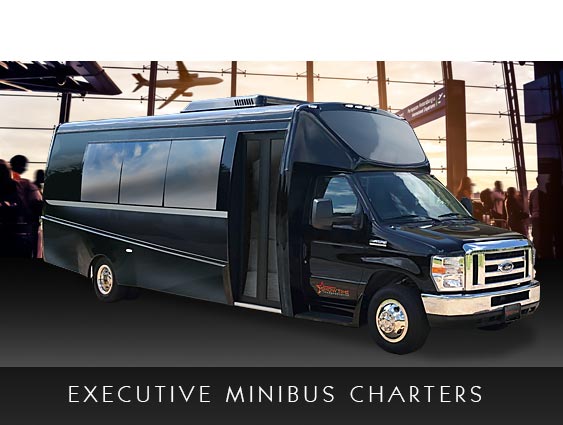 Tampa Airport Minibus Shuttle Transportation Service