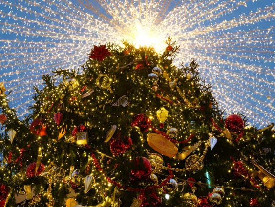 Clearwater 12 Days of Christmas Event 2025 