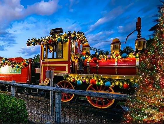 Tampa Bay Christmas Transportation Services